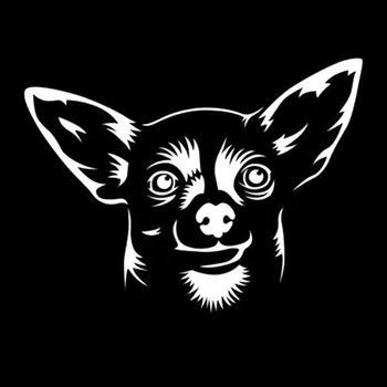 13.2 * 10CM Chihuahua Küçük Köpek Sevimli Karikatür Araba Styling pencere dekorasyonu Çıkartması Yaratıcı Araba Sticker C6-1365