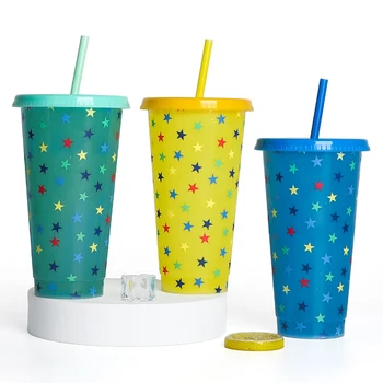 Saman Fincan 710 ml İçecek Renk Değiştiren Saman kapaklı kupalar Plastik Bardak Mat kahve şişesi Fincan Gıda Sınıfı PP Plastik Saman İle